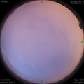 1578707021.jpg