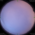 1578707366.jpg