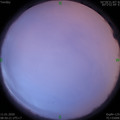 1578707441.jpg