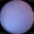 1578707591.jpg