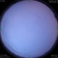 1578707876.jpg