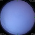 1578708071.jpg