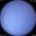 1578708206.jpg