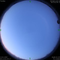 1578795173.jpg