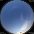 1578814307.jpg