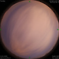 1578828444.jpg