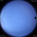 1578881135.jpg