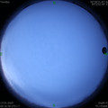 1578881825.jpg