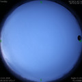 1578882005.jpg