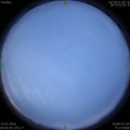 1578884196.jpg