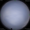 1578893981.jpg