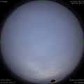 1578901319.jpg