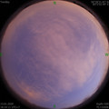 1578914661.jpg