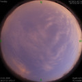 1578914856.jpg