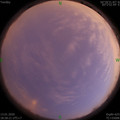 1578914916.jpg