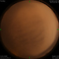 1578918338.jpg
