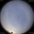 1578979700.jpg