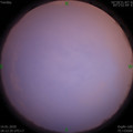1579000365.jpg