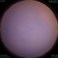 1579000485.jpg