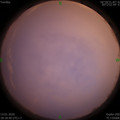 1579000725.jpg