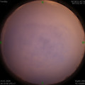 1579000785.jpg