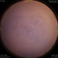 1579000845.jpg