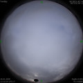 1579155029.jpg