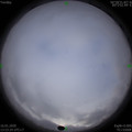 1579155810.jpg