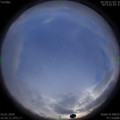 1579160118.jpg