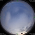 1579160508.jpg