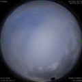 1579161288.jpg