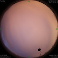 1579225113.jpg
