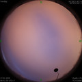 1579225308.jpg