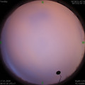 1579225429.jpg
