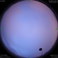 1579225894.jpg