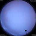 1579226299.jpg