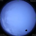 1579226884.jpg