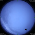 1579226944.jpg