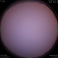 1579259045.jpg