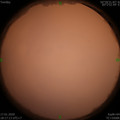 1579259840.jpg