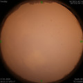 1579260080.jpg