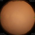 1579260260.jpg