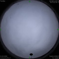 1582267951.jpg