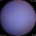 1582287446.jpg