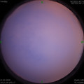 1582287701.jpg
