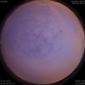 1582288016.jpg
