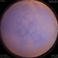 1582288076.jpg
