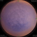 1582288196.jpg
