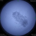1582371654.jpg