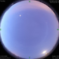 1584056487.jpg